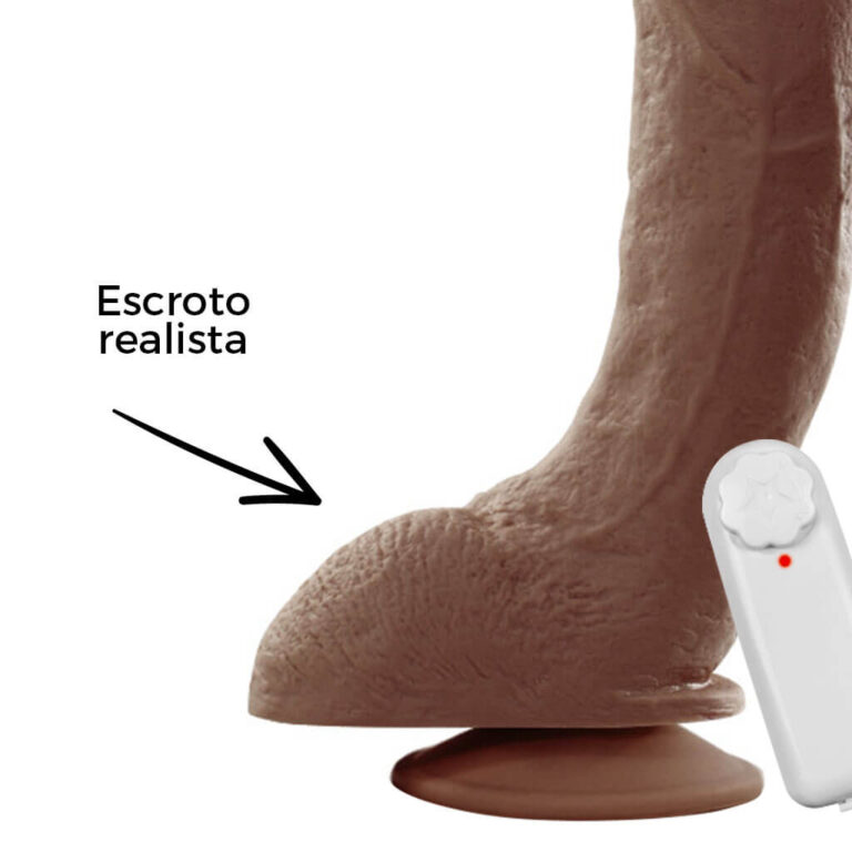 Pênis Grande 20cm x 4,5cm Marrom com Ventosa e Vibro - Imagem 13