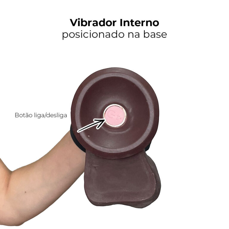 Pênis Grande 19,5cmx 4cm Recarregável com Vibração e Controle Remoto Realista Cyberskin Marrom com Ventosa e Escroto - Imagem 9