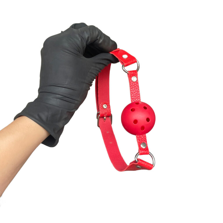Kit Sado em Pelúcia e Fivelas com 9 itens Vermelho - Imagem 17