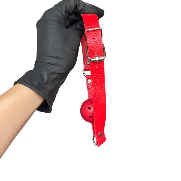 Kit Sado em Pelúcia e Fivelas com 9 itens Vermelho - Imagem 19