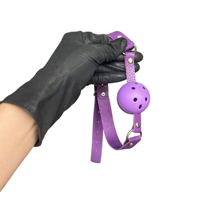 Kit Sado em Pelúcia e Fivelas com 9 itens Roxo - Imagem 28