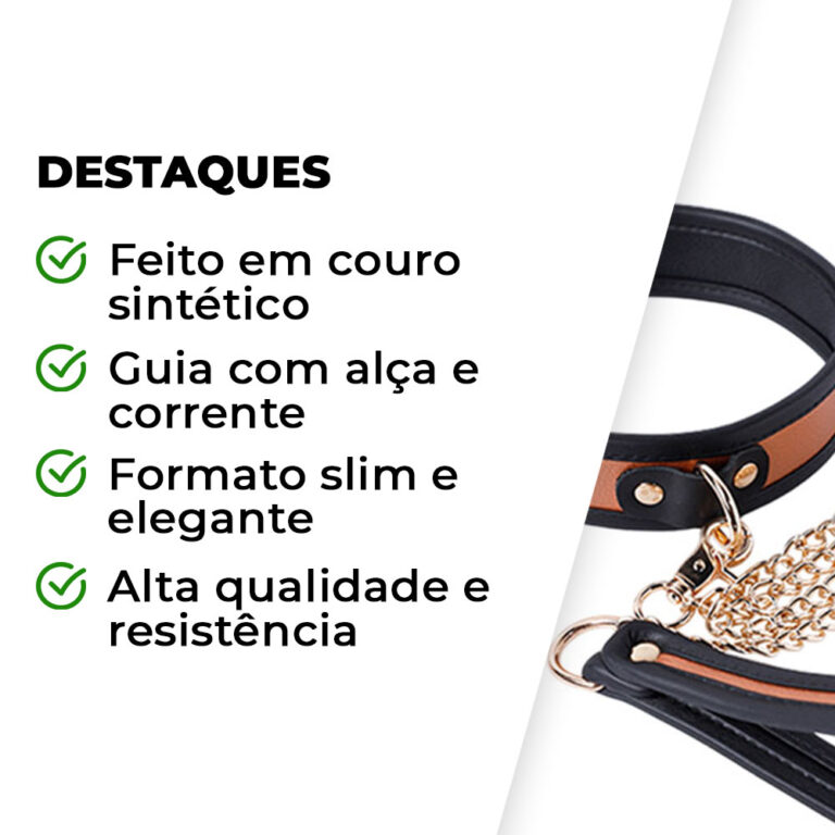 Coleira com Guia e Corrente Dourada - Imagem 4