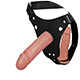 Categoria 2